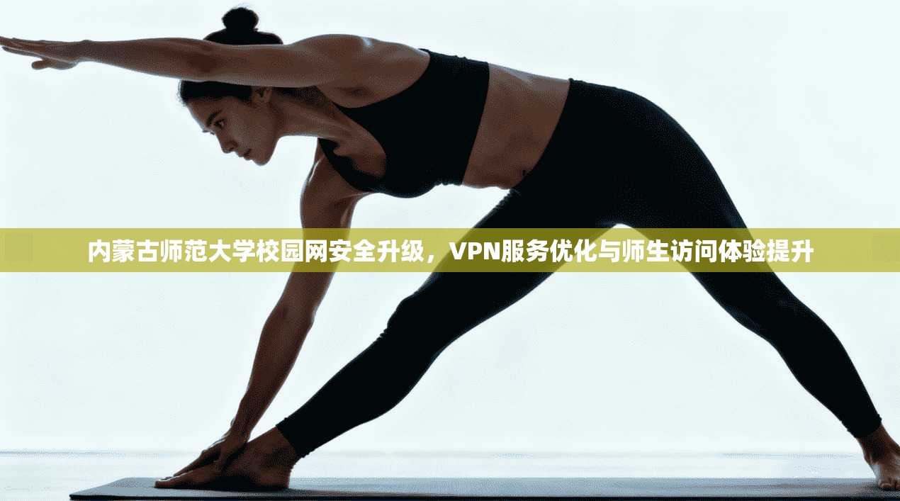 内蒙古师范大学校园网安全升级，VPN服务优化与师生访问体验提升