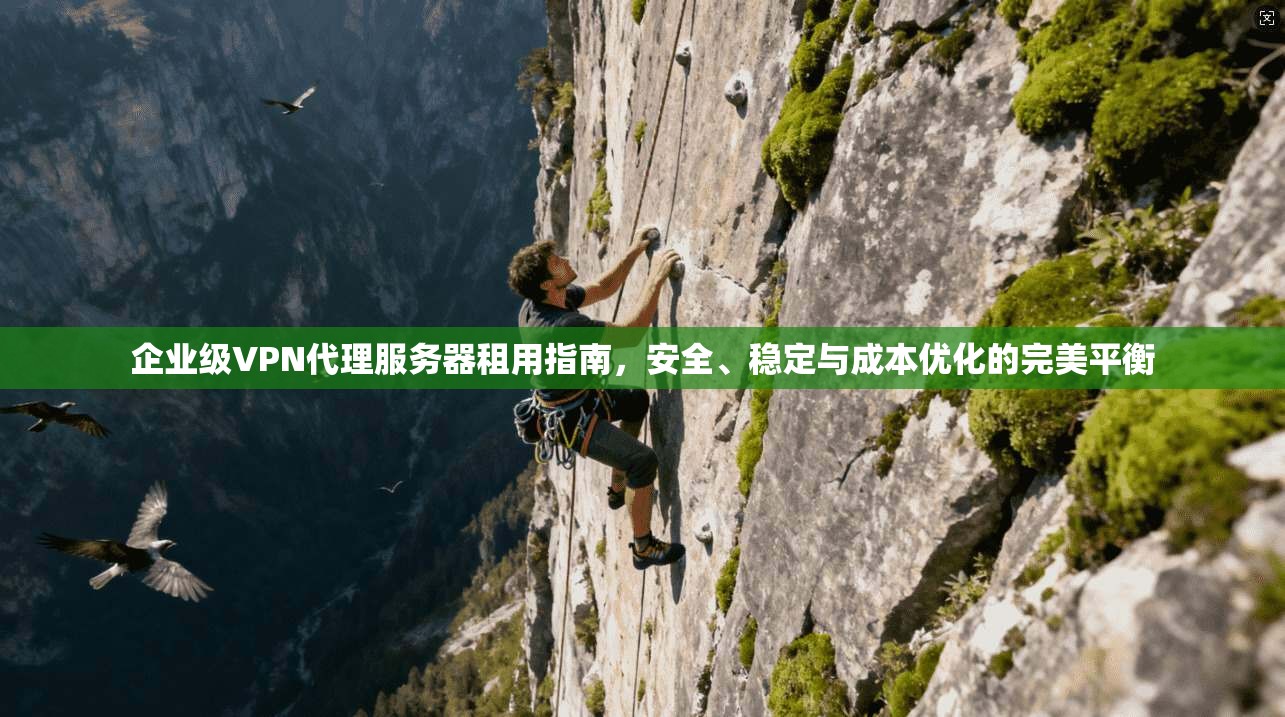 企业级VPN代理服务器租用指南，安全、稳定与成本优化的完美平衡