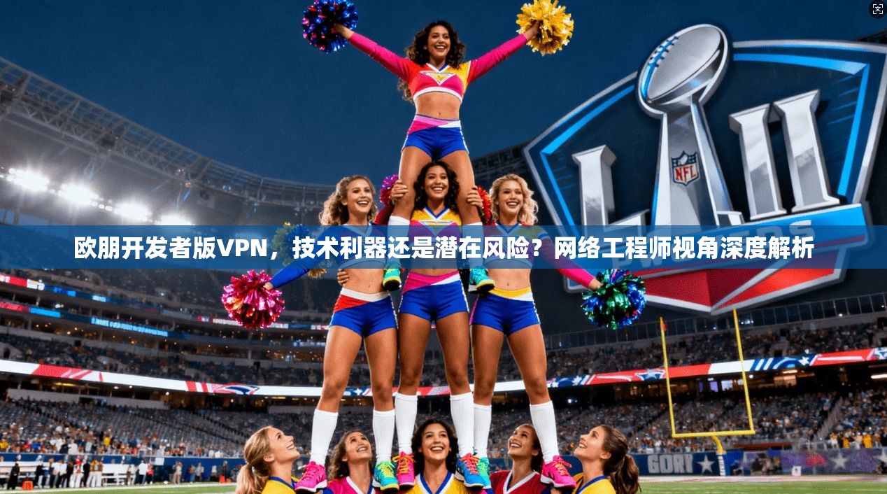 欧朋开发者版VPN,技术利器还是潜在风险?网络工程师视角深度解析