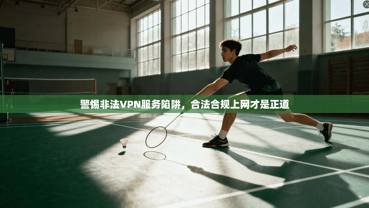警惕非法VPN服务陷阱，合法合规上网才是正道