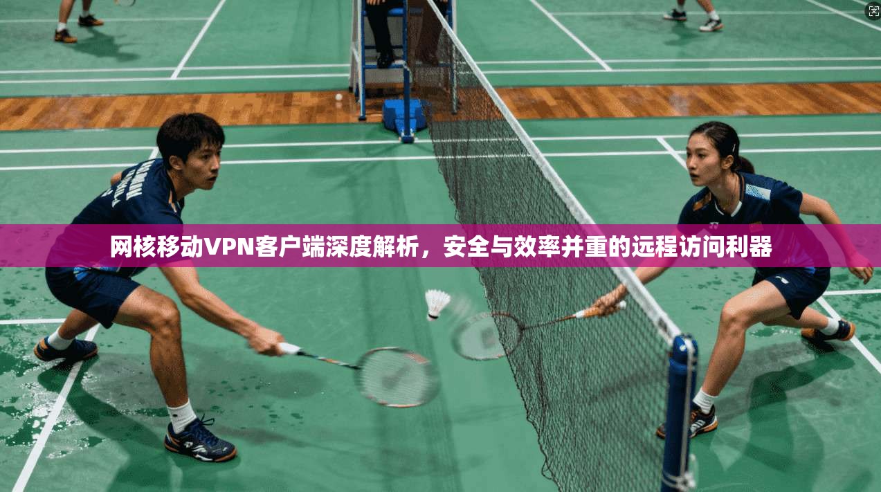 网核移动VPN客户端深度解析，安全与效率并重的远程访问利器