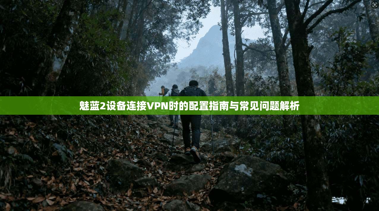 魅蓝2设备连接VPN时的配置指南与常见问题解析