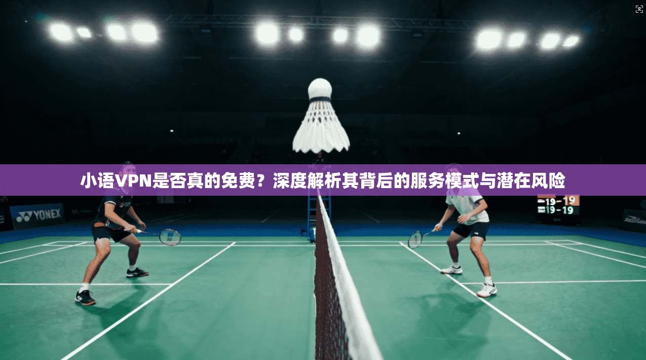 小语VPN是否真的免费？深度解析其背后的服务模式与潜在风险