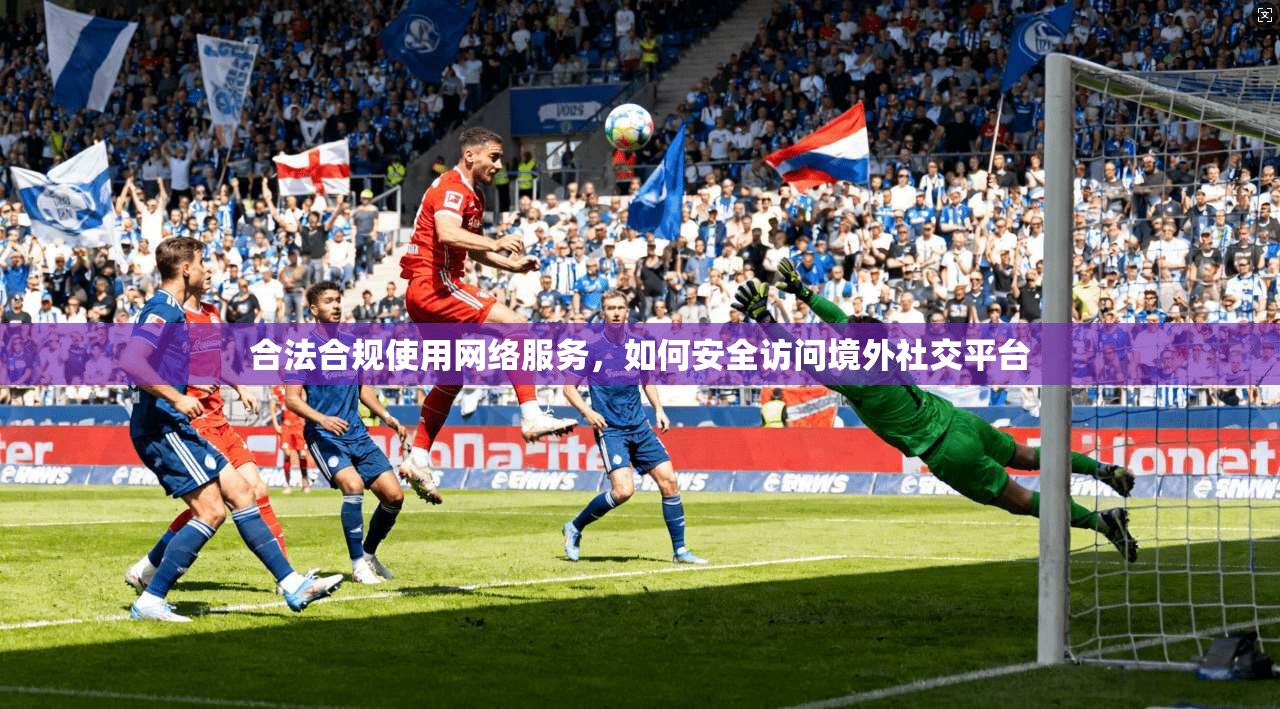 合法合规使用网络服务，如何安全访问境外社交平台