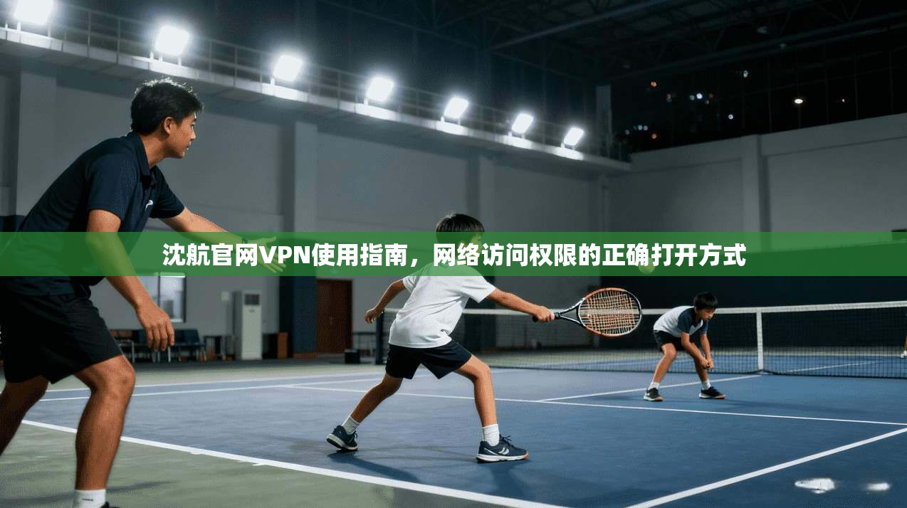 沈航官网VPN使用指南，网络访问权限的正确打开方式