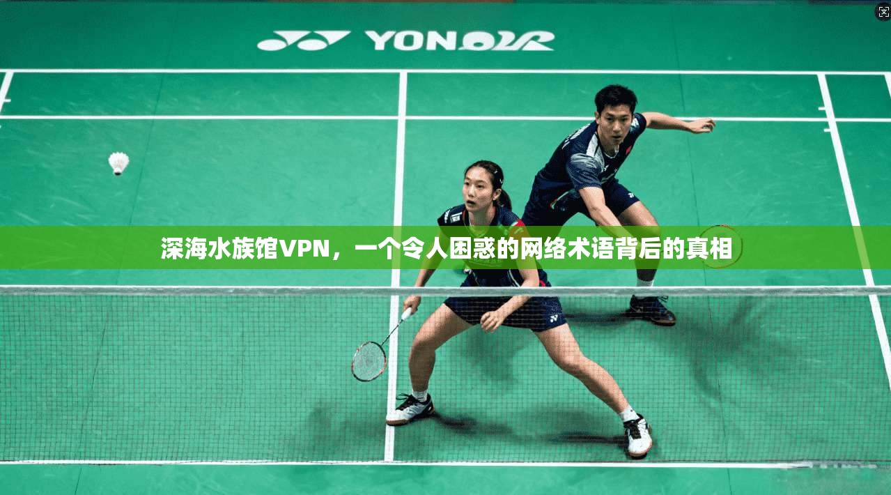 深海水族馆VPN，一个令人困惑的网络术语背后的真相