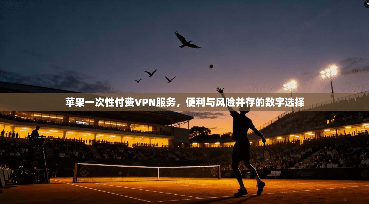 苹果一次性付费VPN服务，便利与风险并存的数字选择