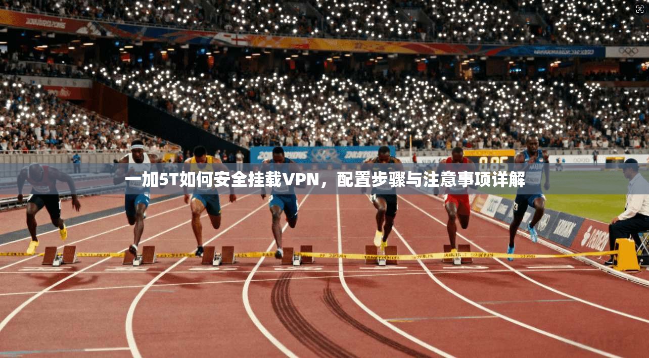 一加5T如何安全挂载VPN,配置步骤与注意事项详解