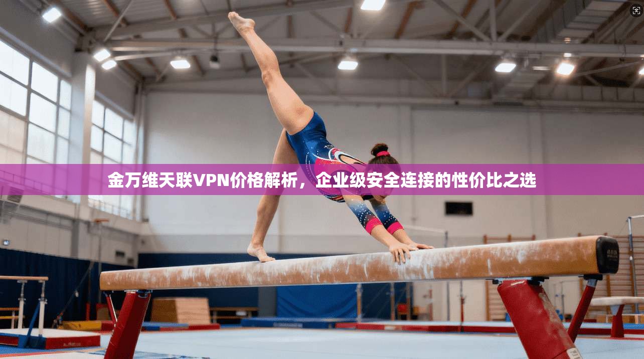 金万维天联VPN价格解析,企业级安全连接的性价比之选