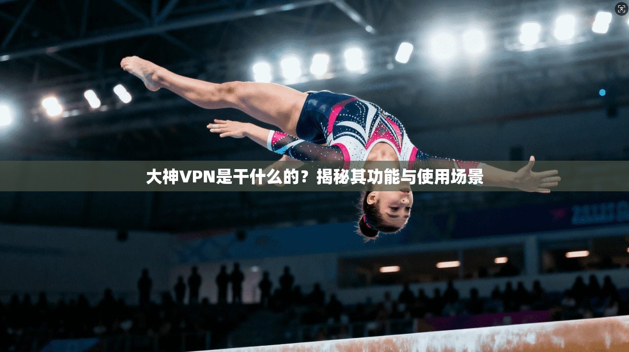 大神VPN是干什么的?揭秘其功能与使用场景