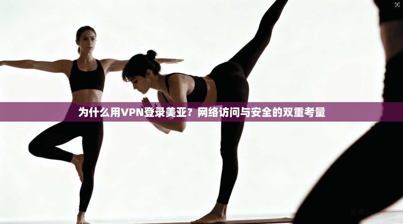 为什么用VPN登录美亚？网络访问与安全的双重考量