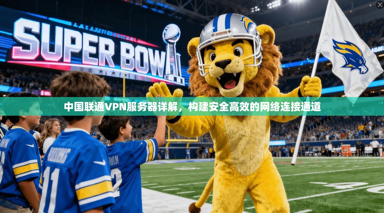 中国联通VPN服务器详解,构建安全高效的网络连接通道