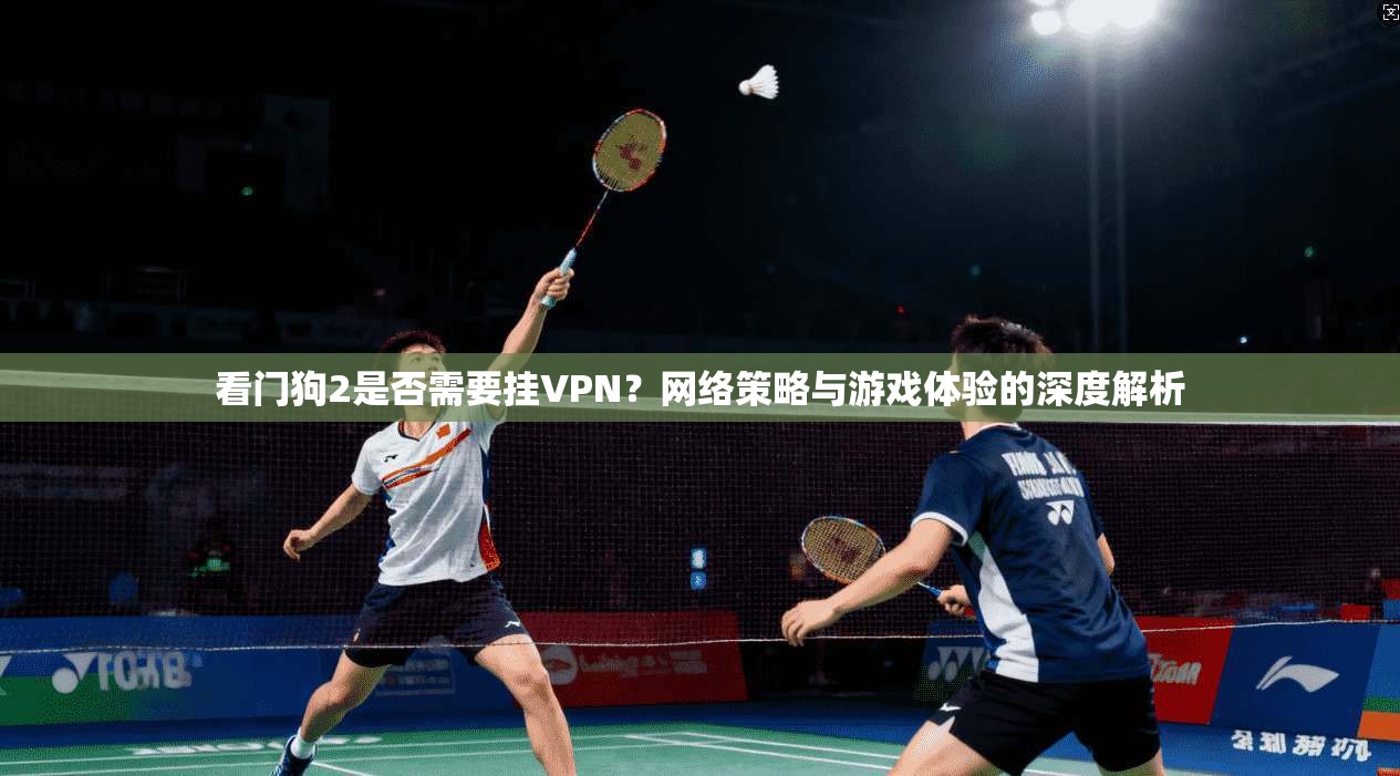 看门狗2是否需要挂VPN？网络策略与游戏体验的深度解析