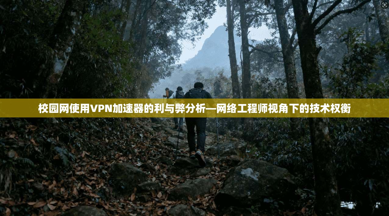 校园网使用VPN加速器的利与弊分析—网络工程师视角下的技术权衡