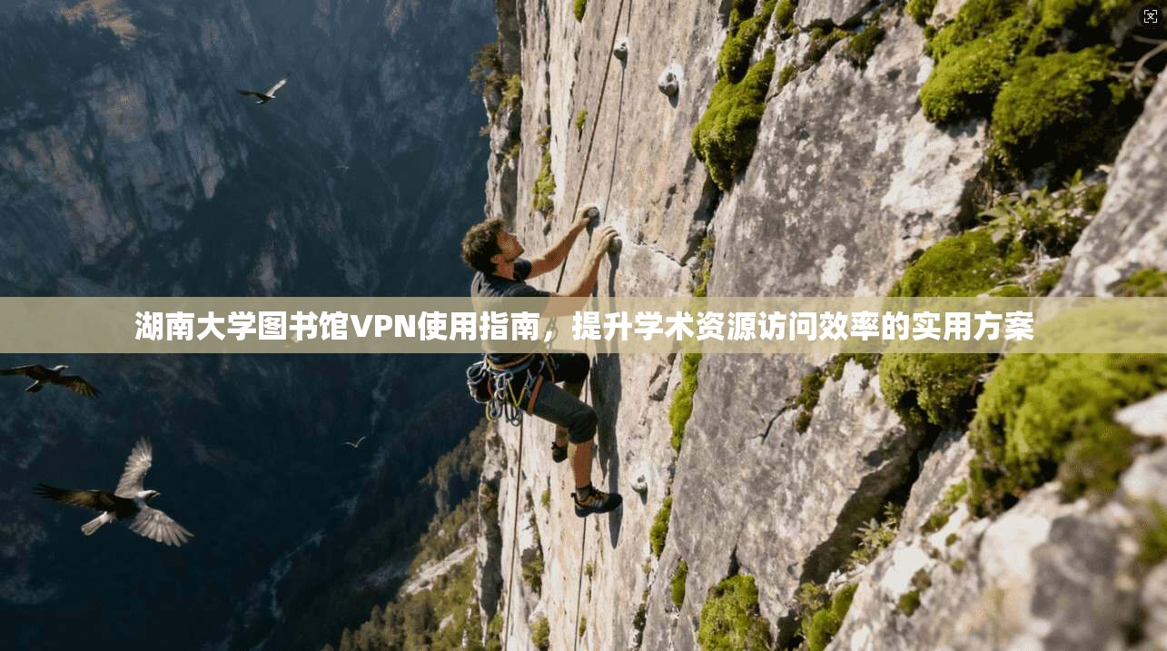 湖南大学图书馆VPN使用指南,提升学术资源访问效率的实用方案