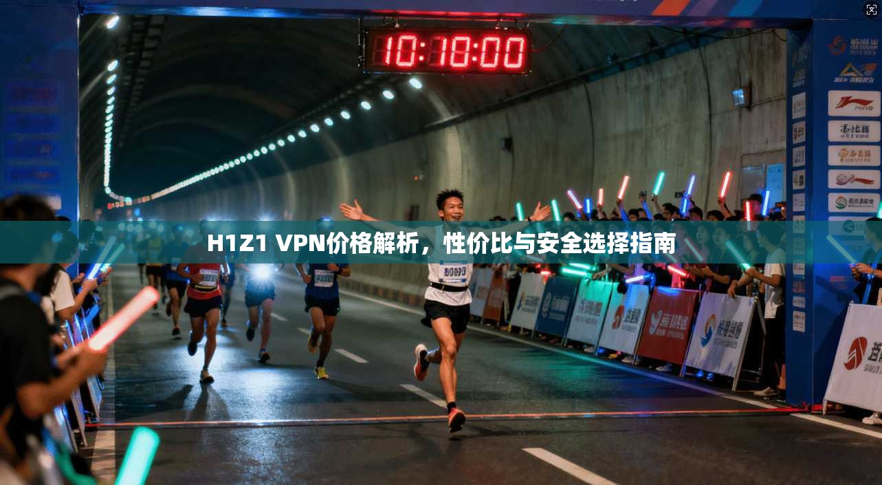 H1Z1 VPN价格解析，性价比与安全选择指南