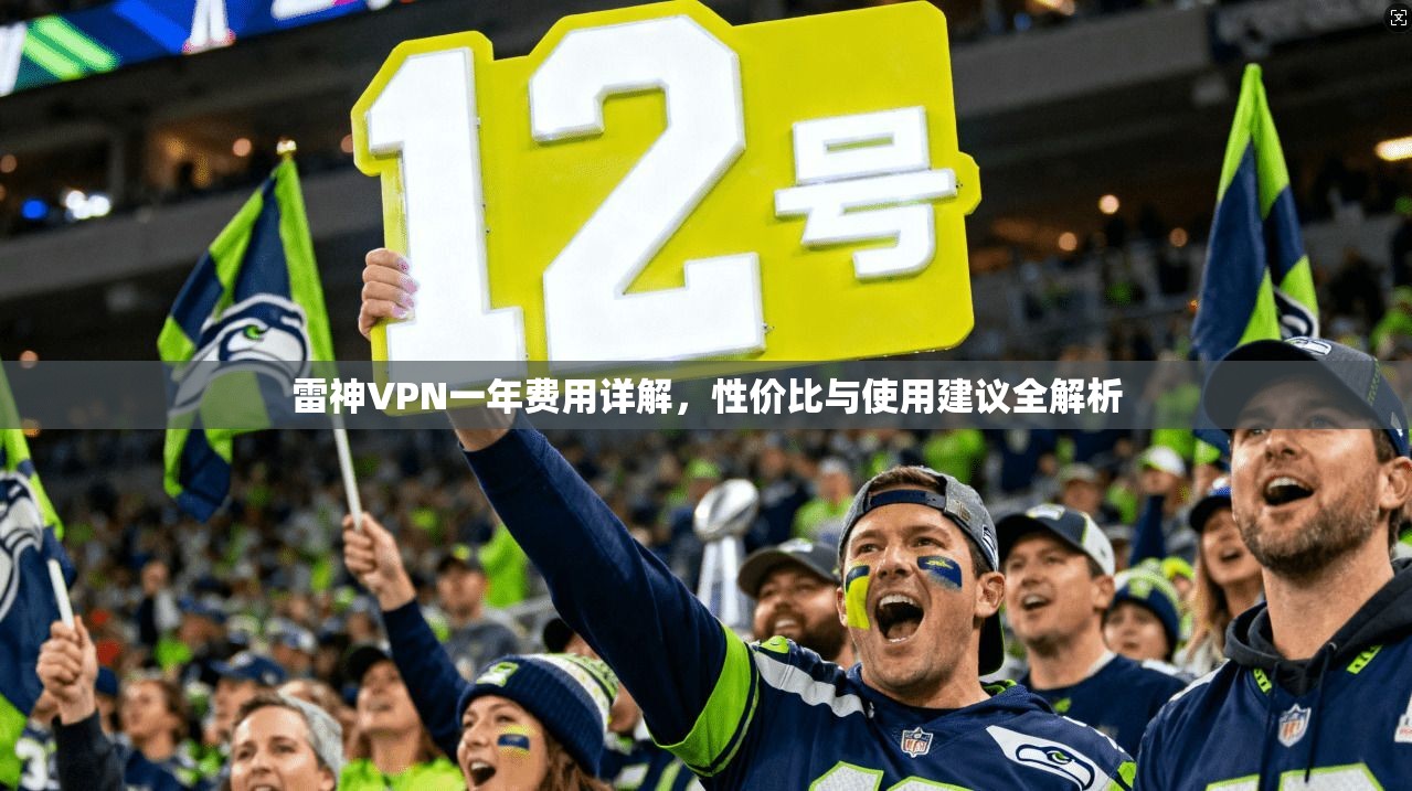 雷神VPN一年费用详解，性价比与使用建议全解析