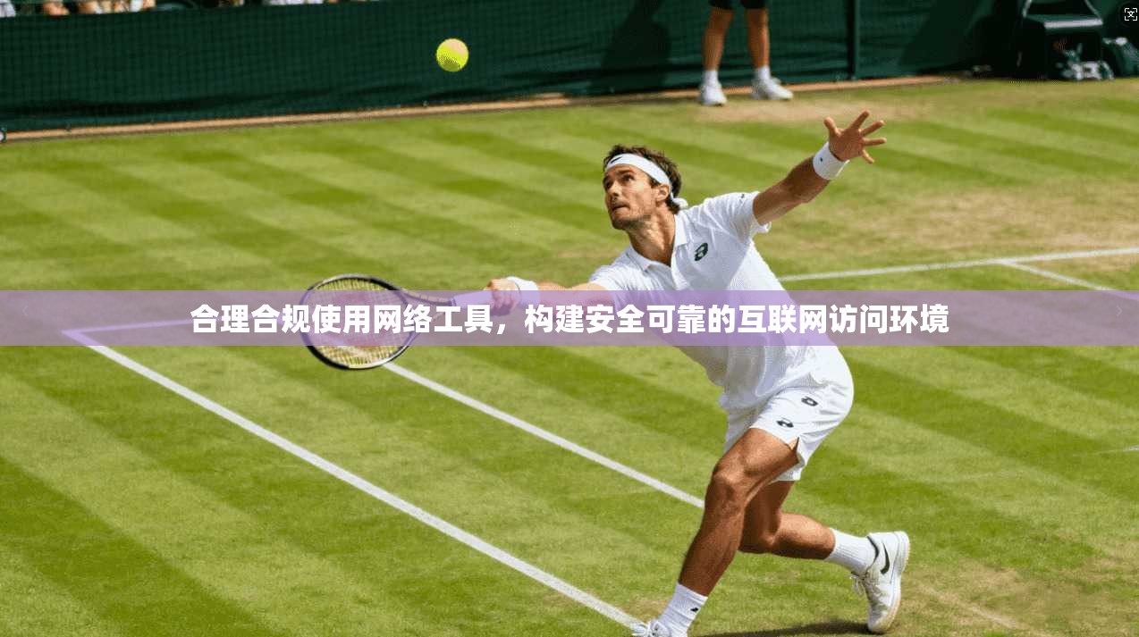 合理合规使用网络工具，构建安全可靠的互联网访问环境