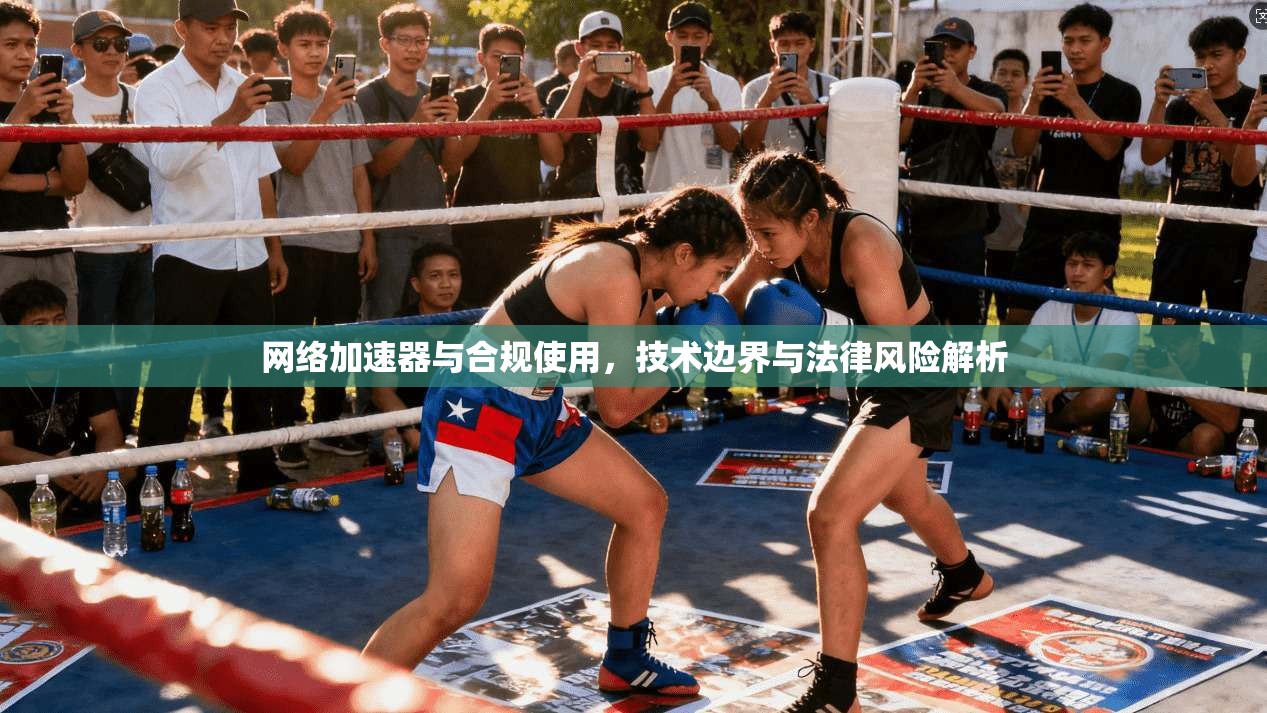 网络加速器与合规使用，技术边界与法律风险解析