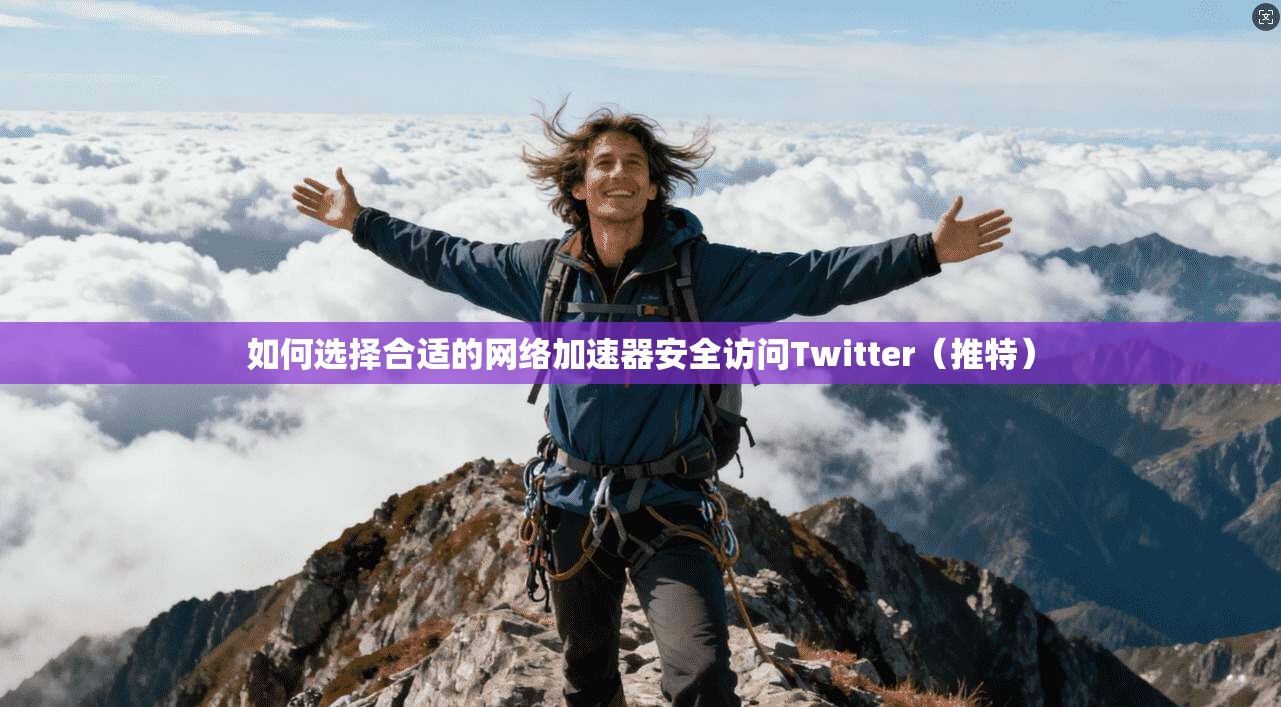 如何选择合适的网络加速器安全访问Twitter（推特）