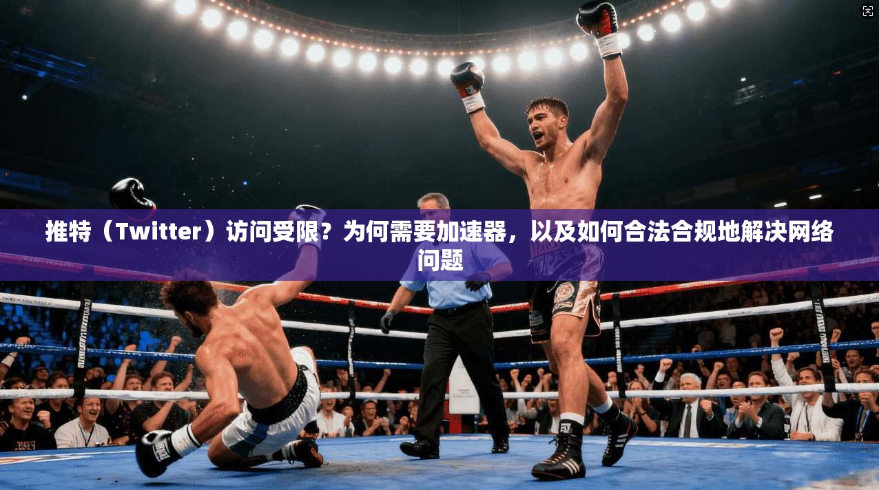 推特（Twitter）访问受限？为何需要加速器，以及如何合法合规地解决网络问题