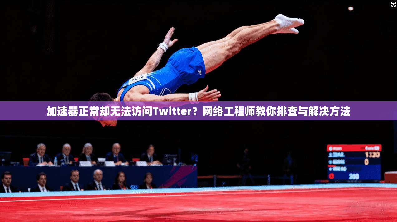 加速器正常却无法访问Twitter？网络工程师教你排查与解决方法
