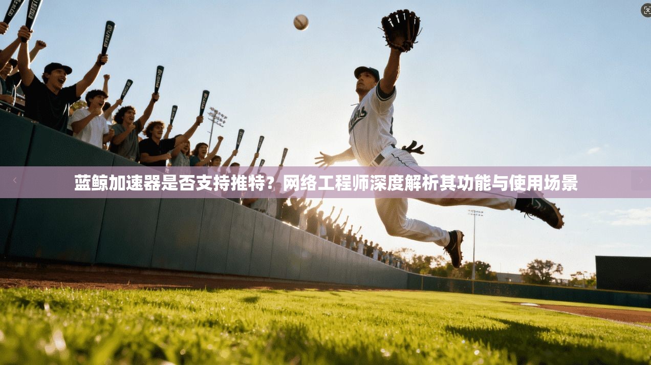蓝鲸加速器是否支持推特？网络工程师深度解析其功能与使用场景