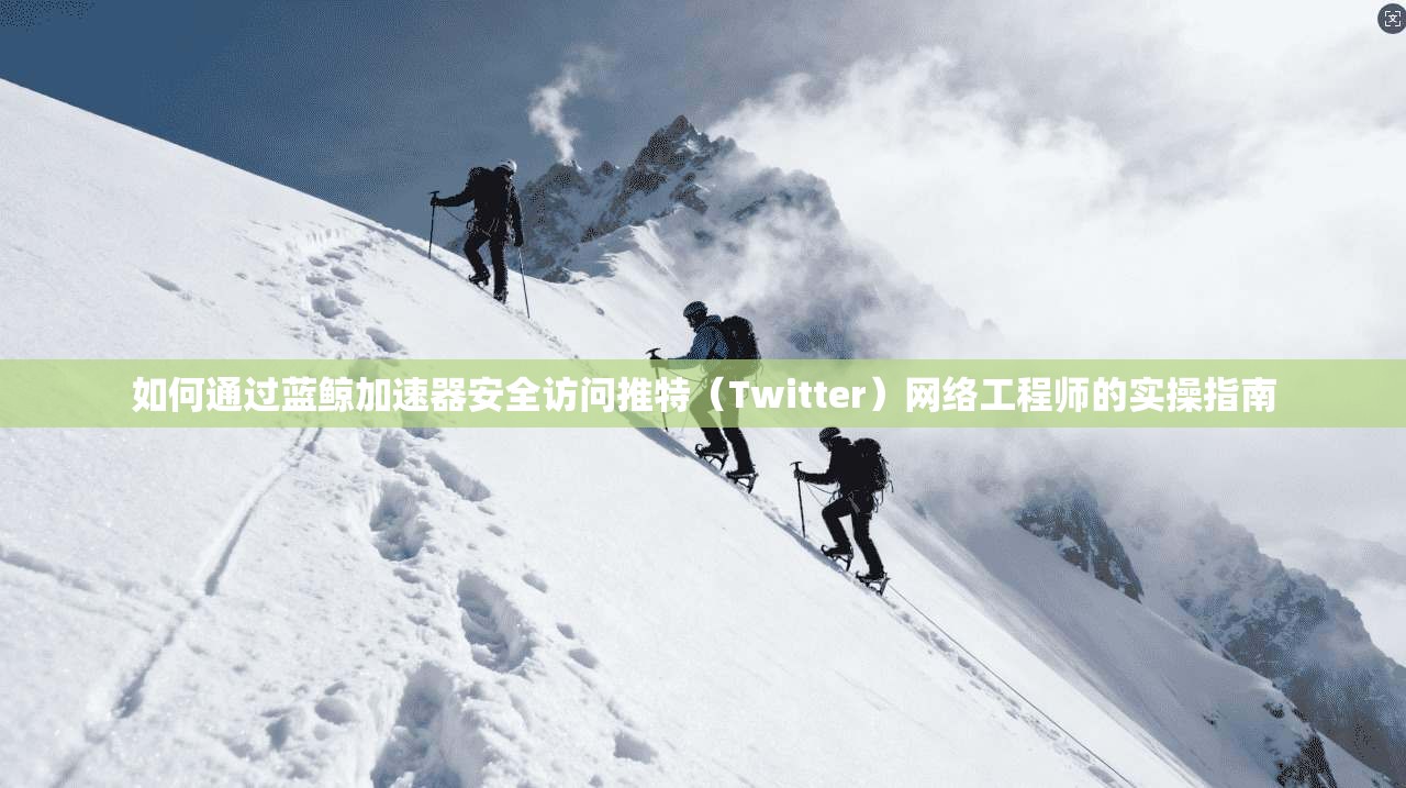 如何通过蓝鲸加速器安全访问推特（Twitter）网络工程师的实操指南