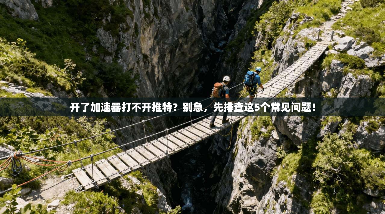 开了加速器打不开推特？别急，先排查这5个常见问题！