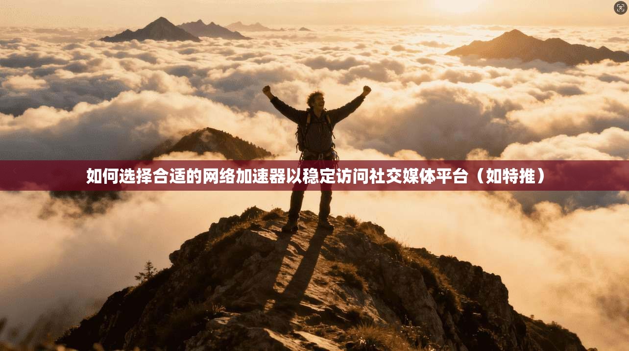 如何选择合适的网络加速器以稳定访问社交媒体平台（如特推）