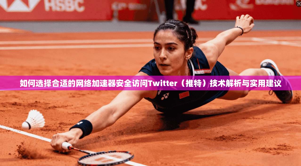 如何选择合适的网络加速器安全访问Twitter（推特）技术解析与实用建议