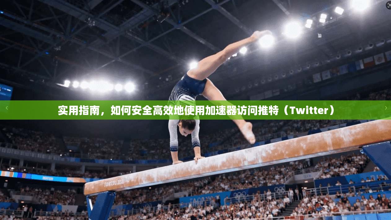 实用指南，如何安全高效地使用加速器访问推特（Twitter）