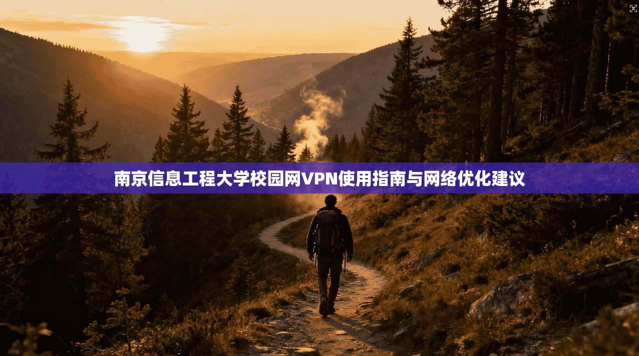 南京信息工程大学校园网VPN使用指南与网络优化建议