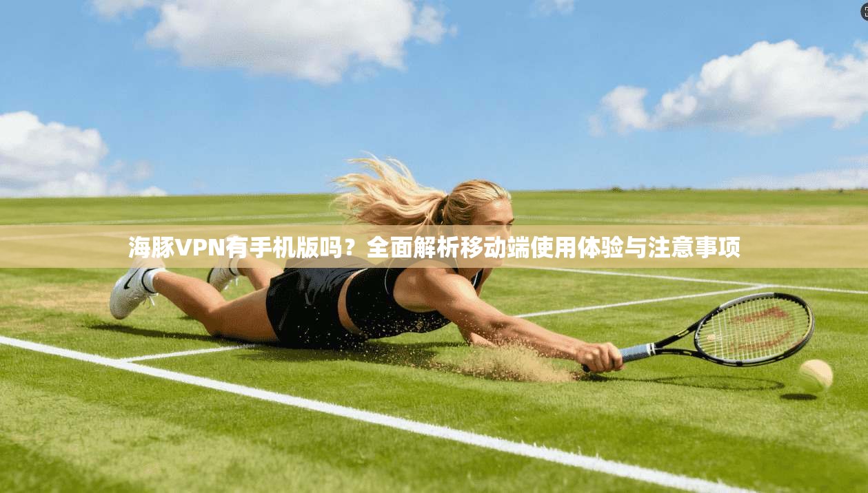 海豚VPN有手机版吗？全面解析移动端使用体验与注意事项