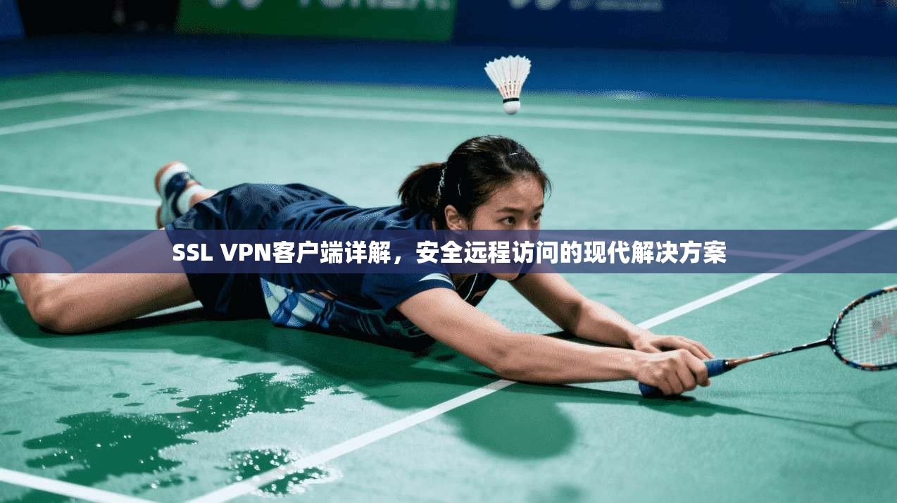 SSL VPN客户端详解，安全远程访问的现代解决方案