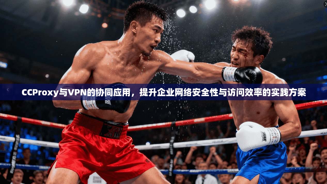 CCProxy与VPN的协同应用,提升企业网络安全性与访问效率的实践方案