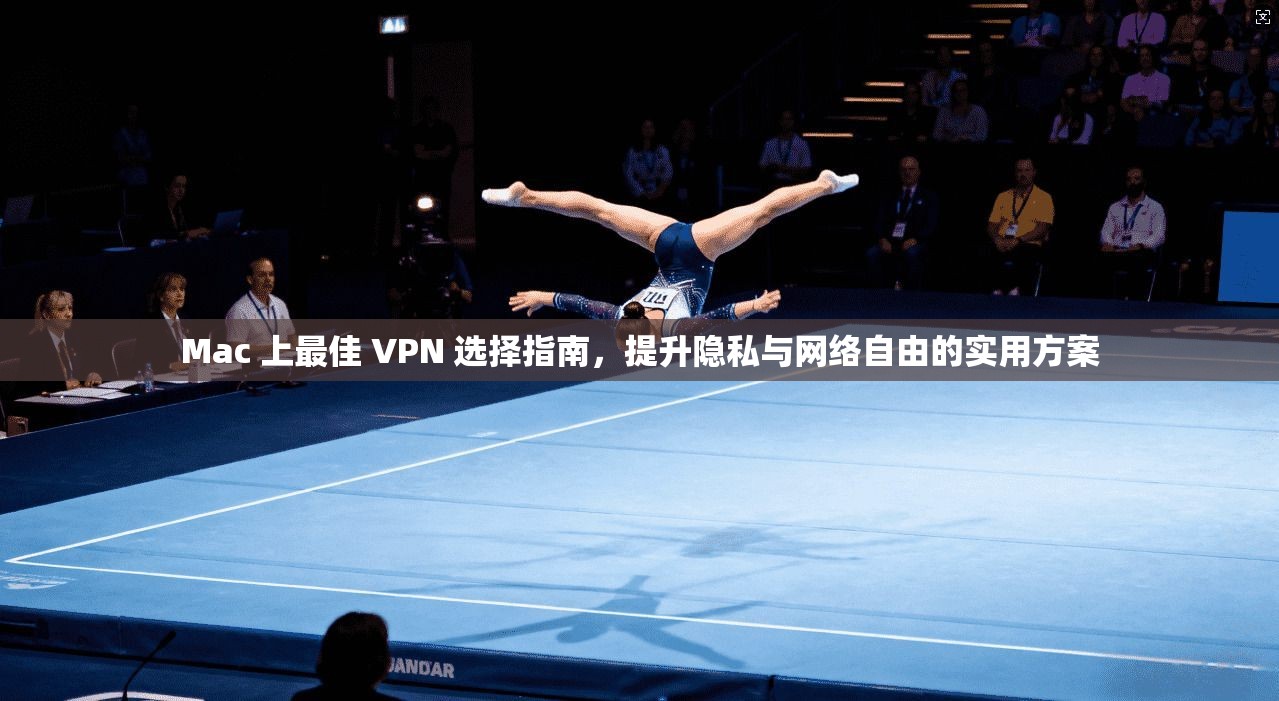 Mac 上最佳 VPN 选择指南，提升隐私与网络自由的实用方案