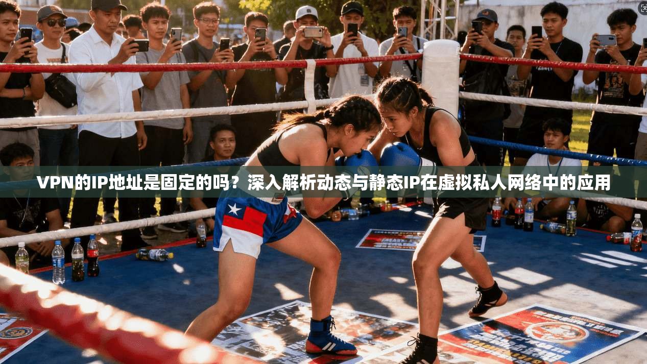 VPN的IP地址是固定的吗？深入解析动态与静态IP在虚拟私人网络中的应用
