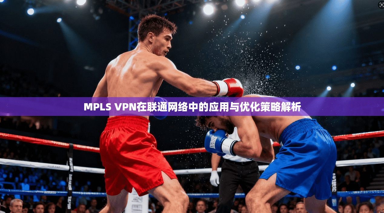 MPLS VPN在联通网络中的应用与优化策略解析