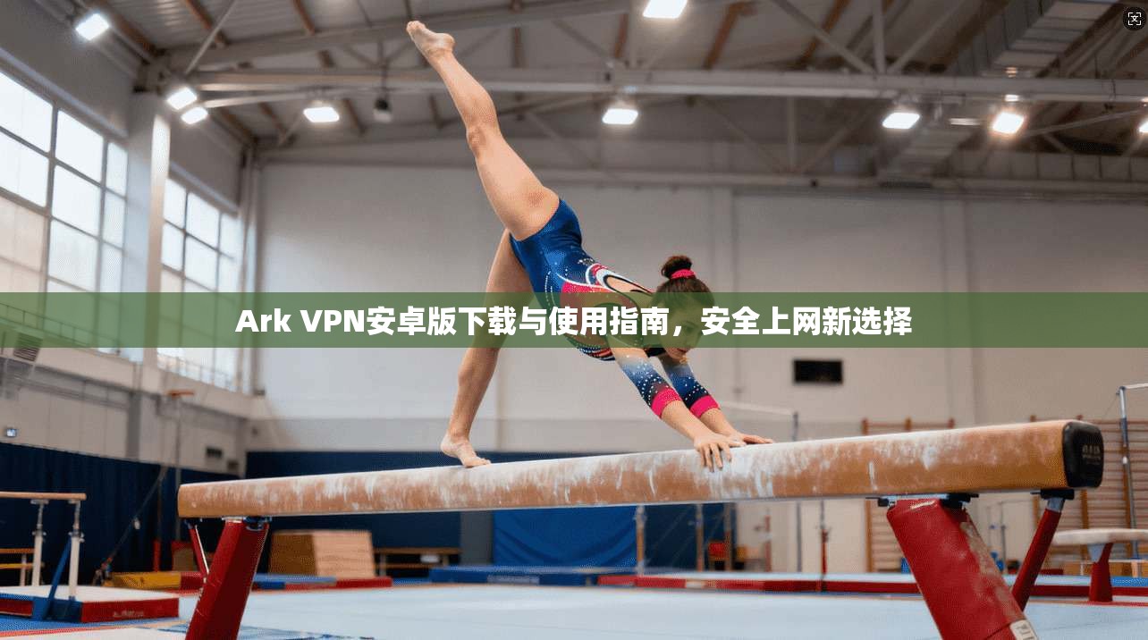 Ark VPN安卓版下载与使用指南,安全上网新选择