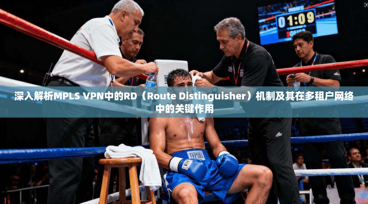 深入解析MPLS VPN中的RD（Route Distinguisher）机制及其在多租户网络中的关键作用