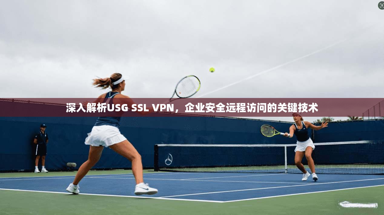 深入解析USG SSL VPN,企业安全远程访问的关键技术