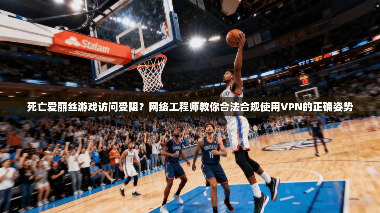死亡爱丽丝游戏访问受阻？网络工程师教你合法合规使用VPN的正确姿势