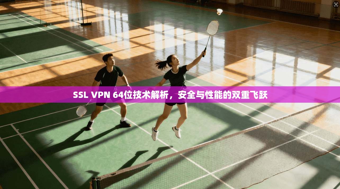 SSL VPN 64位技术解析，安全与性能的双重飞跃