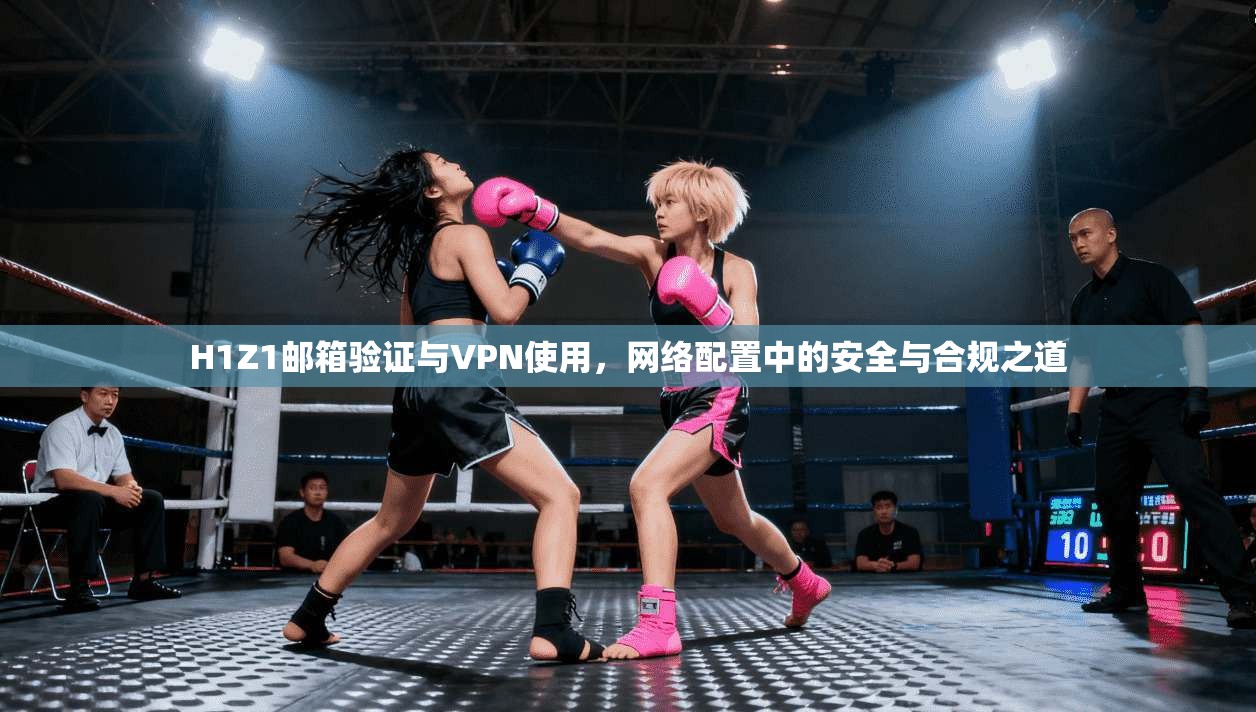 H1Z1邮箱验证与VPN使用，网络配置中的安全与合规之道