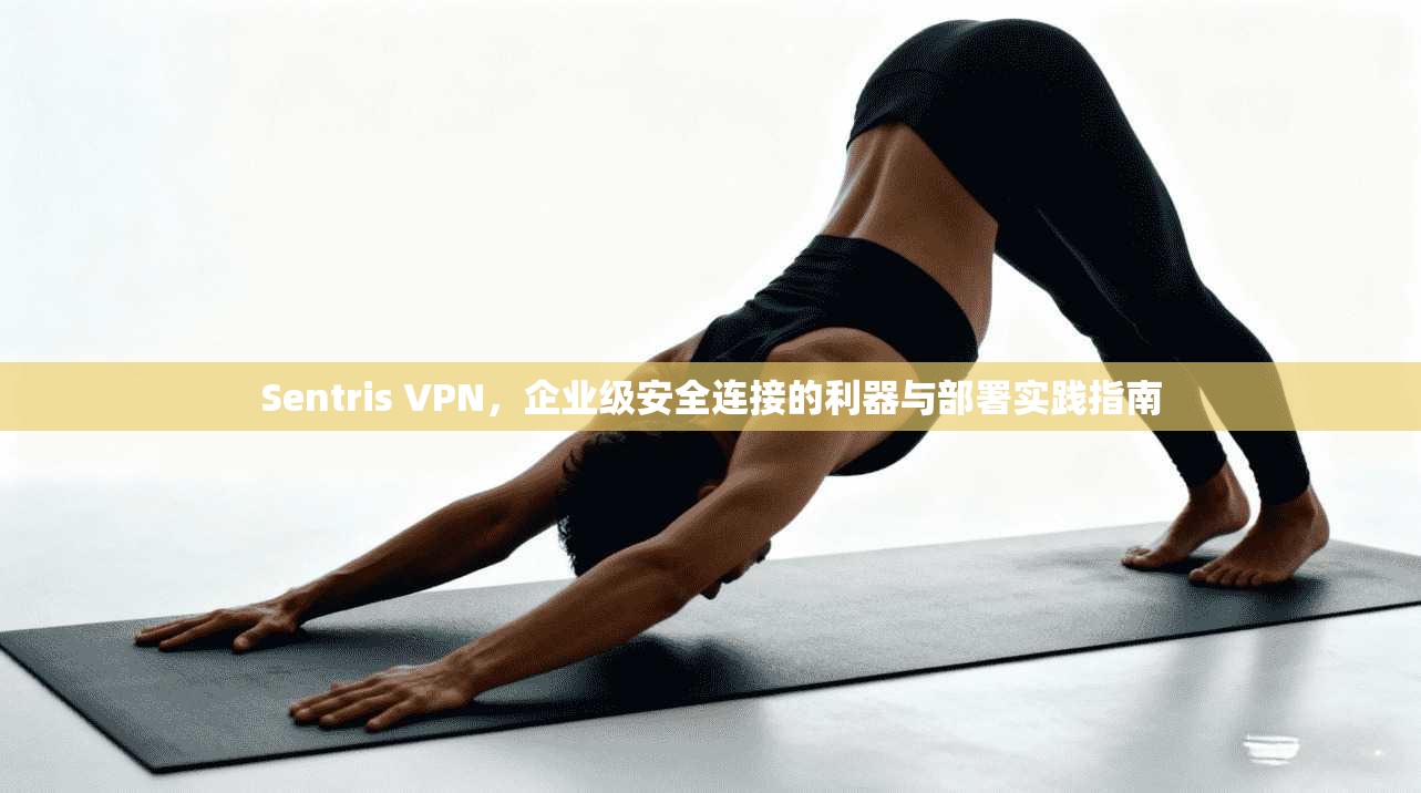 Sentris VPN，企业级安全连接的利器与部署实践指南