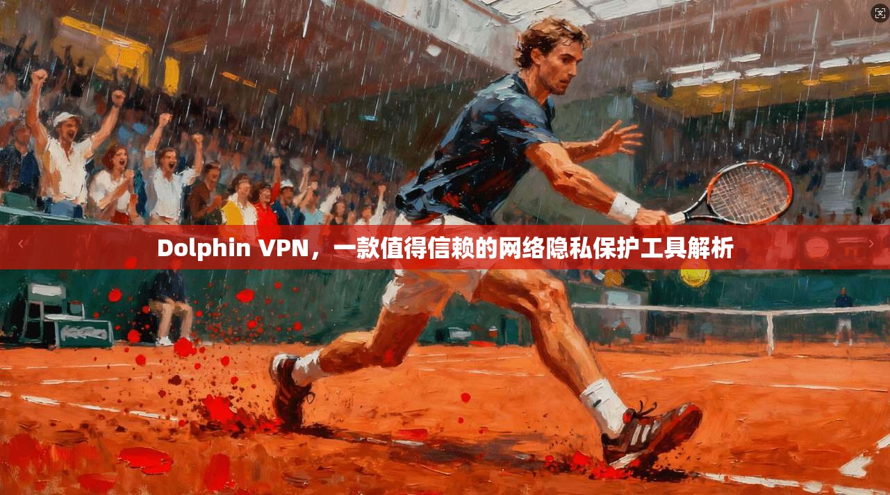 Dolphin VPN，一款值得信赖的网络隐私保护工具解析