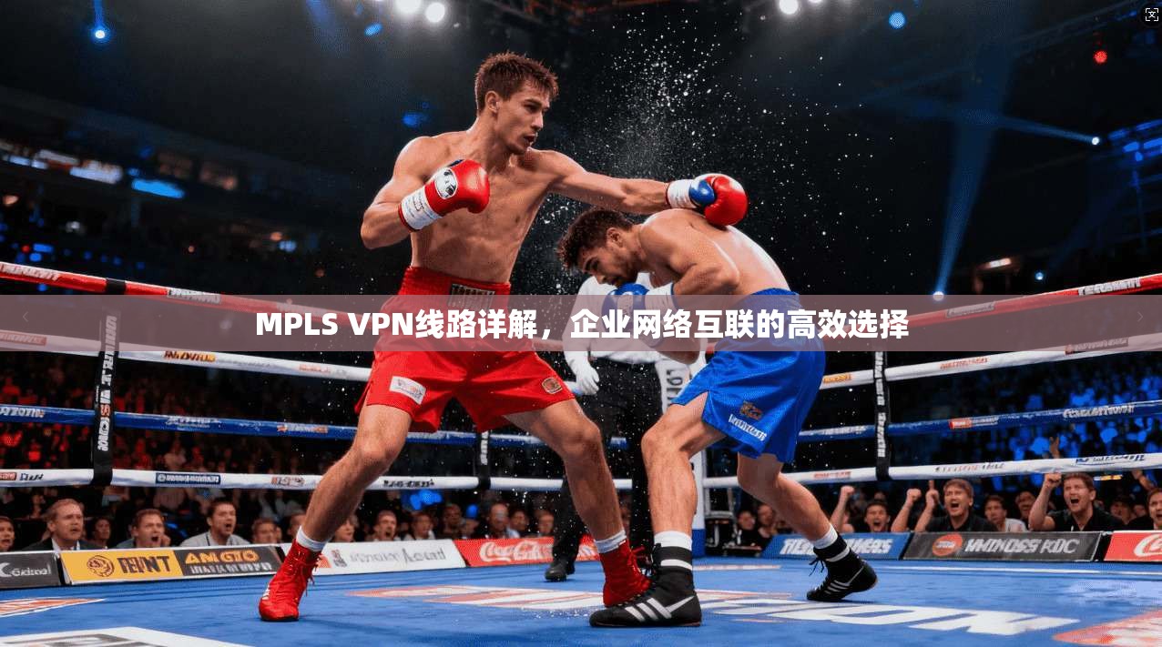 MPLS VPN线路详解,企业网络互联的高效选择